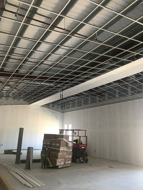 Suspended Ceilings - Magpie Building Services Newcastle